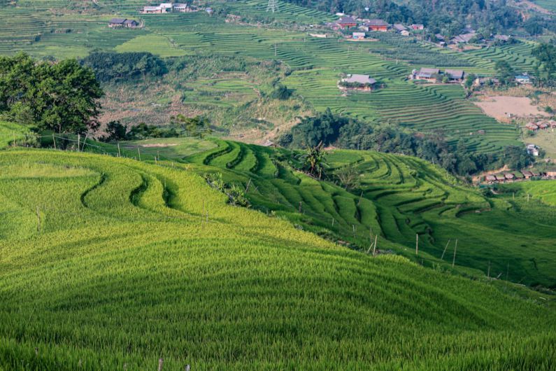 Rural Areas - a lush green hillside covered in lots of grass