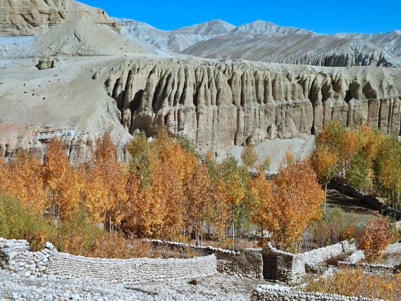 Cultural Tour - a rocky landscape with trees in the foreground and mountains in the background