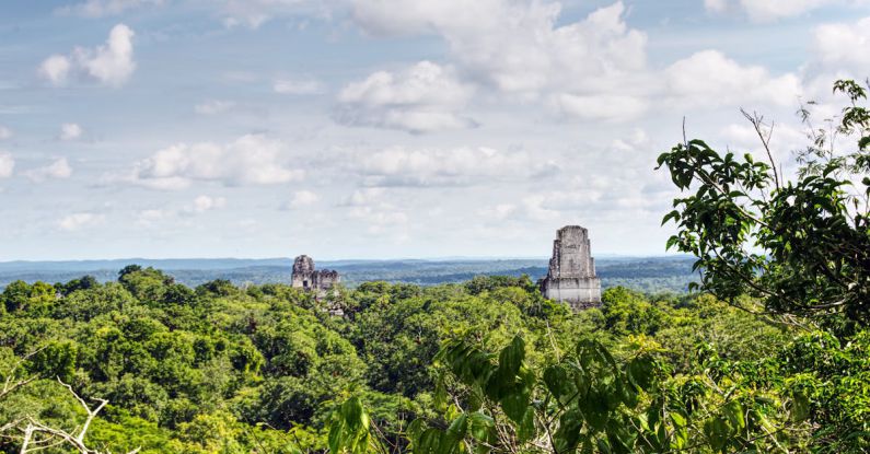 Tikal - Green Trees Under the Blue Sky