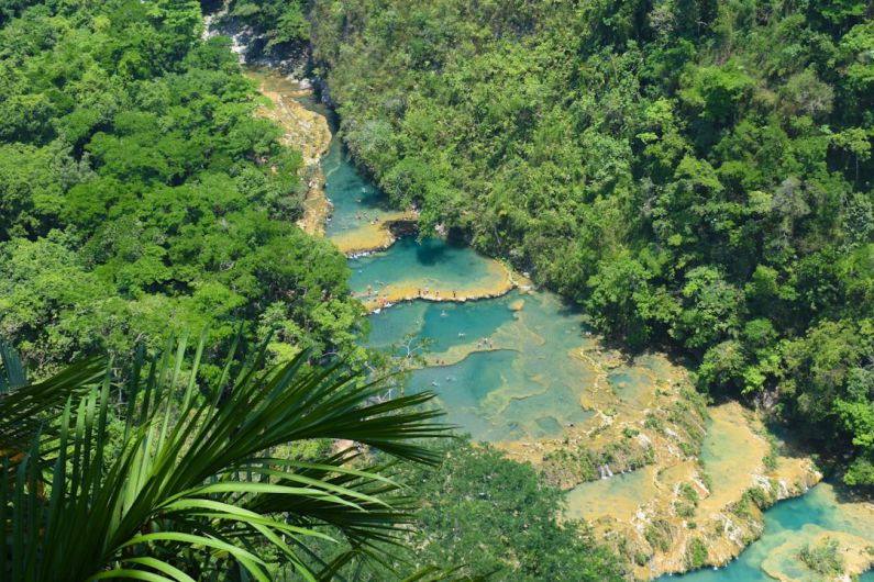 Semuc Champey - a river in the middle of a lush green forest