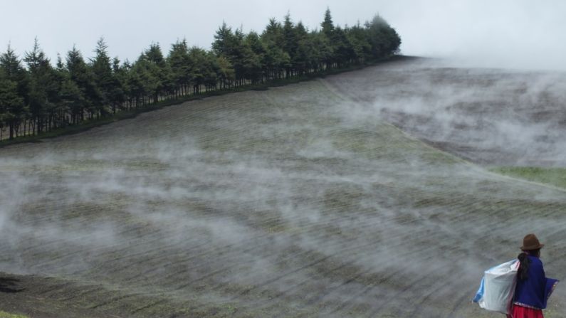 Sierra De Las Minas - woman carrying white sack on farm field