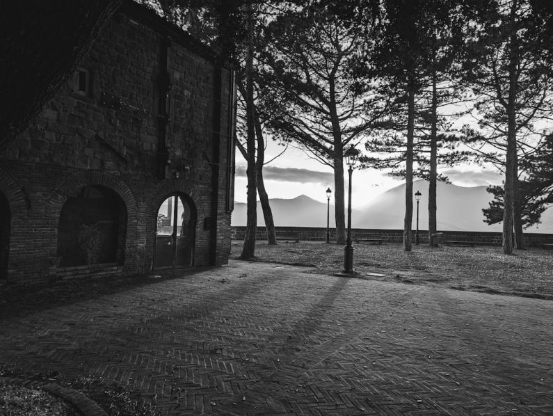 Ixil Region - a black and white photo of a house in the woods