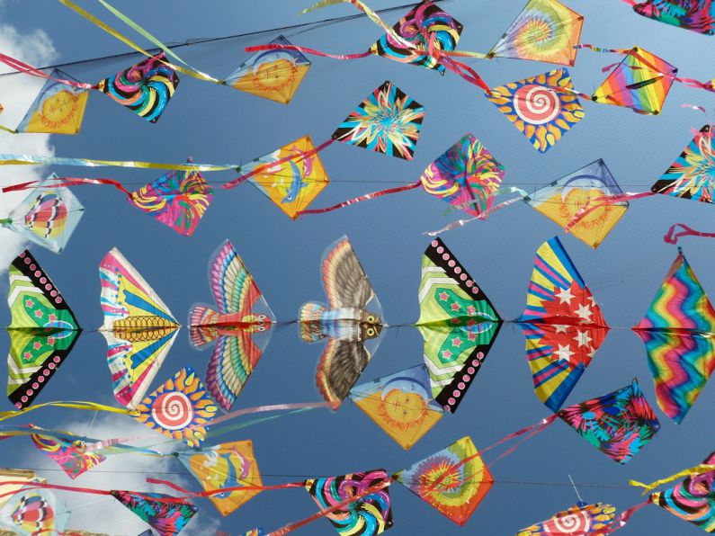 Kite Festival - a bunch of kites that are flying in the sky