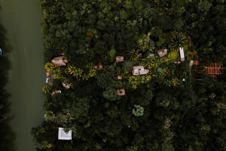 Puerto Barrios - an aerial view of a house in the middle of a forest