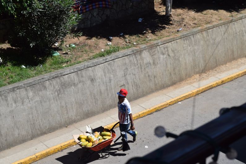 Santa Cruz Del Quiché - man carrying wheelbarrow on road near tall plant at daytime