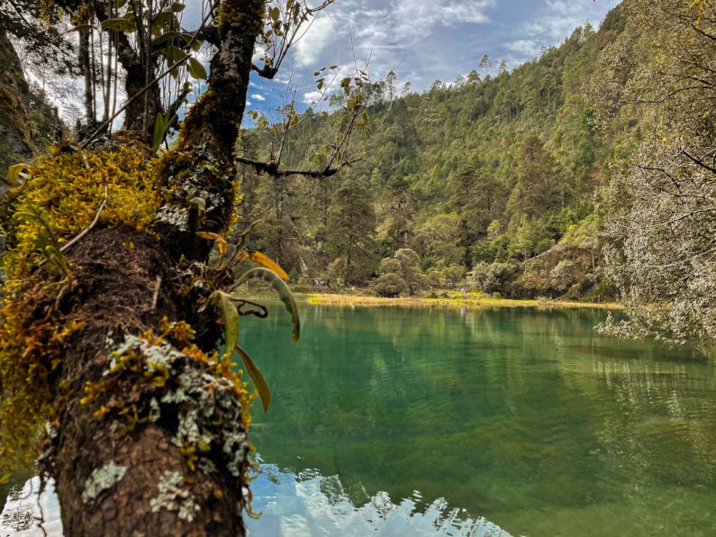 Huehuetenango - a body of water surrounded by a forest